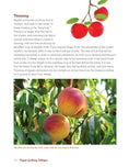 Load image into Gallery viewer, Organic Gardening Techniques
