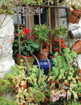 Load image into Gallery viewer, Urban Farming 2nd Ed
