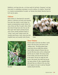 Load image into Gallery viewer, Urban Farming 2nd Ed
