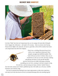 Load image into Gallery viewer, Honey Bee Hobbyist, 2nd Edition

