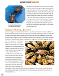 Load image into Gallery viewer, Honey Bee Hobbyist, 2nd Edition
