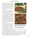 Load image into Gallery viewer, Honey Bee Hobbyist, 2nd Edition
