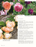 Load image into Gallery viewer, In Bloom
