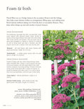 Load image into Gallery viewer, In Bloom
