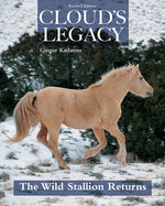 Cloud's Legacy