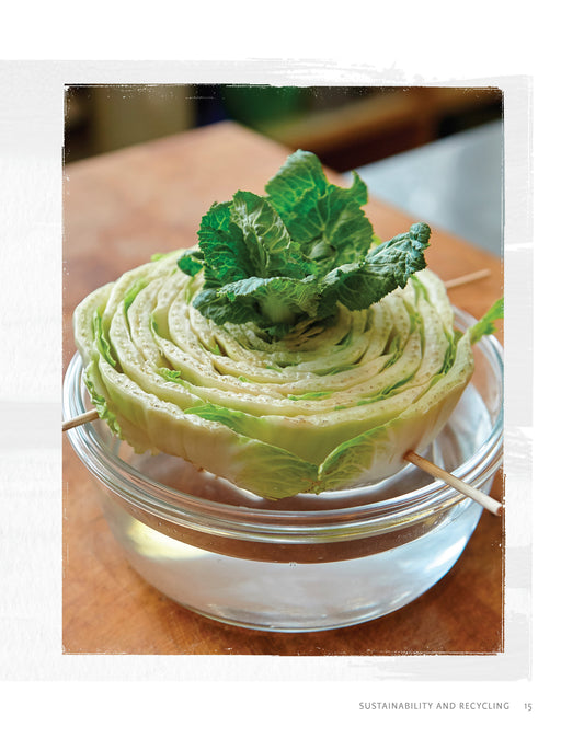Regrow Your Veggies