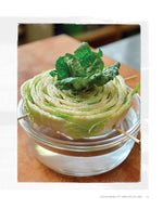 Regrow Your Veggies