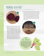 Regrow Your Veggies