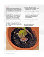 Regrow Your Veggies
