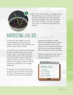 Regrow Your Veggies