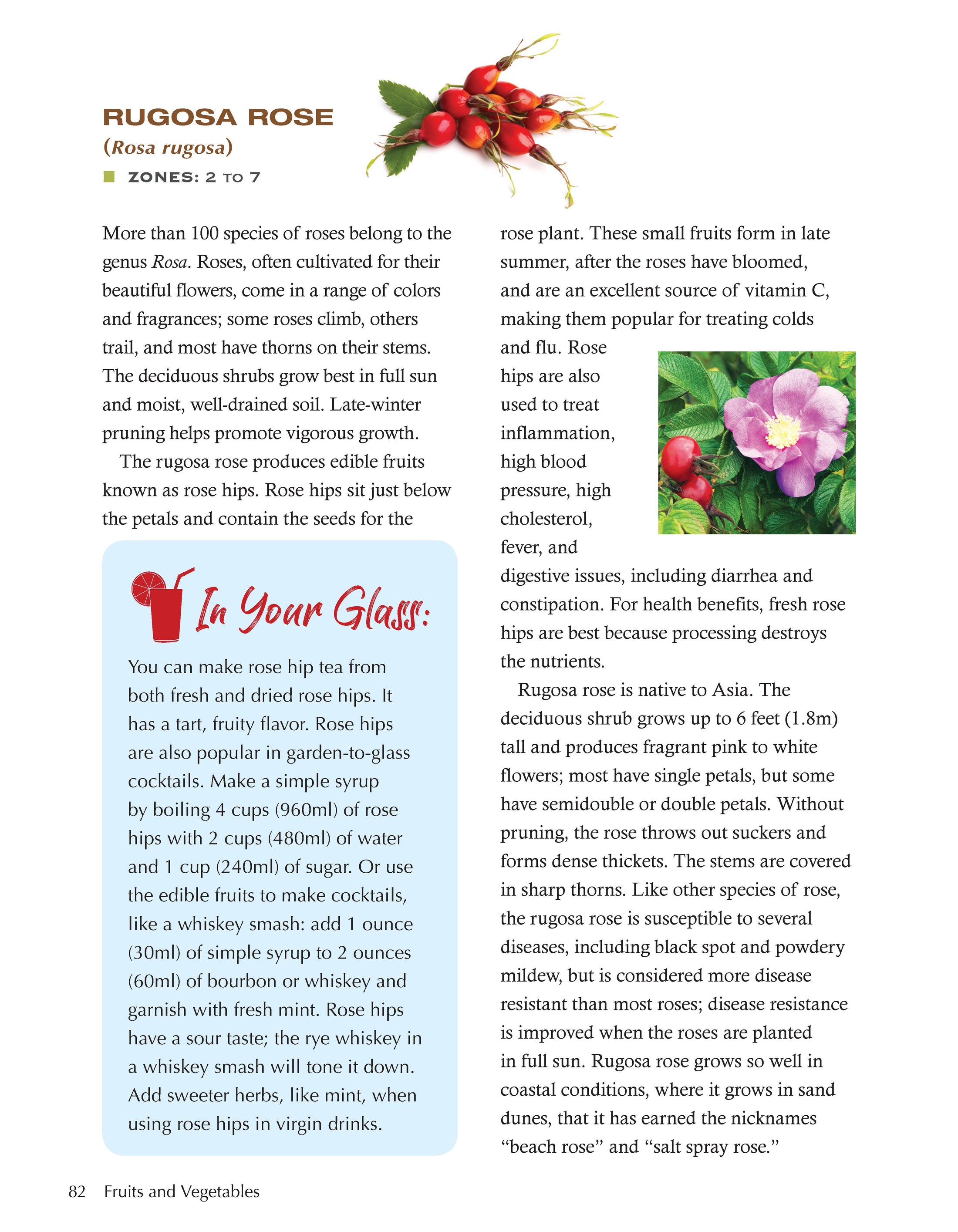 Growing Your Own Cocktails, Mocktails, Teas & Infusions