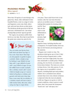 Growing Your Own Cocktails, Mocktails, Teas & Infusions