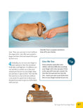Load image into Gallery viewer, Clicker Training for Rabbits, Guinea Pigs, and Other Small Pets
