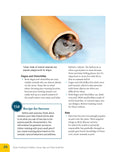 Load image into Gallery viewer, Clicker Training for Rabbits, Guinea Pigs, and Other Small Pets
