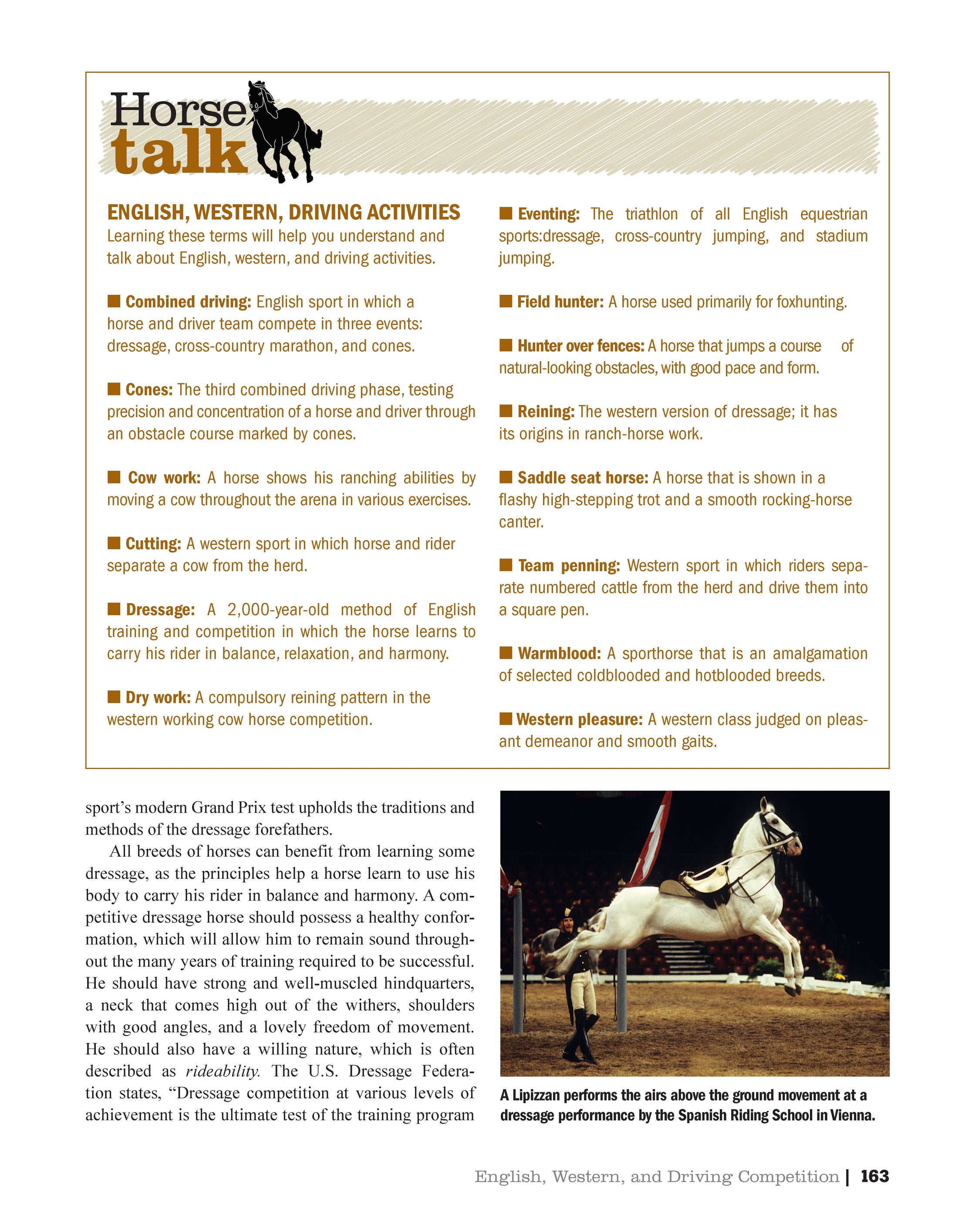 Original Horse Bible, 2nd Edition