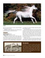 Original Horse Bible, 2nd Edition