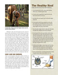 Load image into Gallery viewer, Original Horse Bible, 2nd Edition
