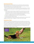 Load image into Gallery viewer, Ultimate Guide to Dog Training
