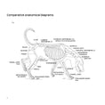 Load image into Gallery viewer, Dogsteps A New Look
