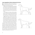 Load image into Gallery viewer, Dogsteps A New Look
