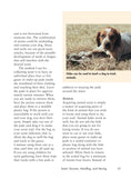 Load image into Gallery viewer, Canine Tracking Guide

