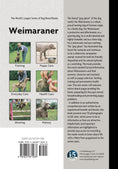 Load image into Gallery viewer, Weimaraner
