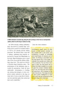 Load image into Gallery viewer, Ready! Training the Search and Rescue Dog
