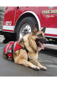 Load image into Gallery viewer, Ready! Training the Search and Rescue Dog
