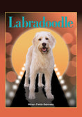 Load image into Gallery viewer, Labradoodle
