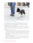 Load image into Gallery viewer, The Dog Behavior Problem Solver

