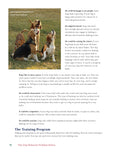 Load image into Gallery viewer, The Dog Behavior Problem Solver
