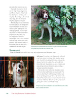 The Dog Behavior Problem Solver