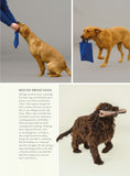 Load image into Gallery viewer, Fun & Games for a Smarter Dog
