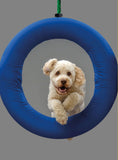 Load image into Gallery viewer, Fun & Games for a Smarter Dog
