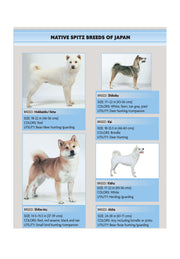 Akita (Comprehensive Owner's Guide)