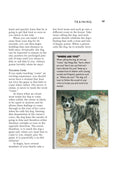 Load image into Gallery viewer, Akita (Comprehensive Owner's Guide)
