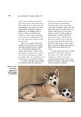 Load image into Gallery viewer, Alaskan Malamute (Comprehensive Owner's Guide)

