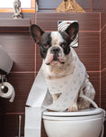 Load image into Gallery viewer, The Ultimate Guide to Dog Care
