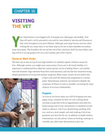 The Ultimate Guide to Dog Care