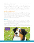 Load image into Gallery viewer, The Ultimate Guide to Dog Care
