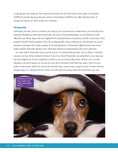 Load image into Gallery viewer, The Ultimate Guide to Dog Care

