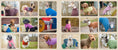 Load image into Gallery viewer, Sweaters for Dogs

