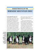 Load image into Gallery viewer, Bernese Mountain Dog (Comprehensive Owner's Guide)
