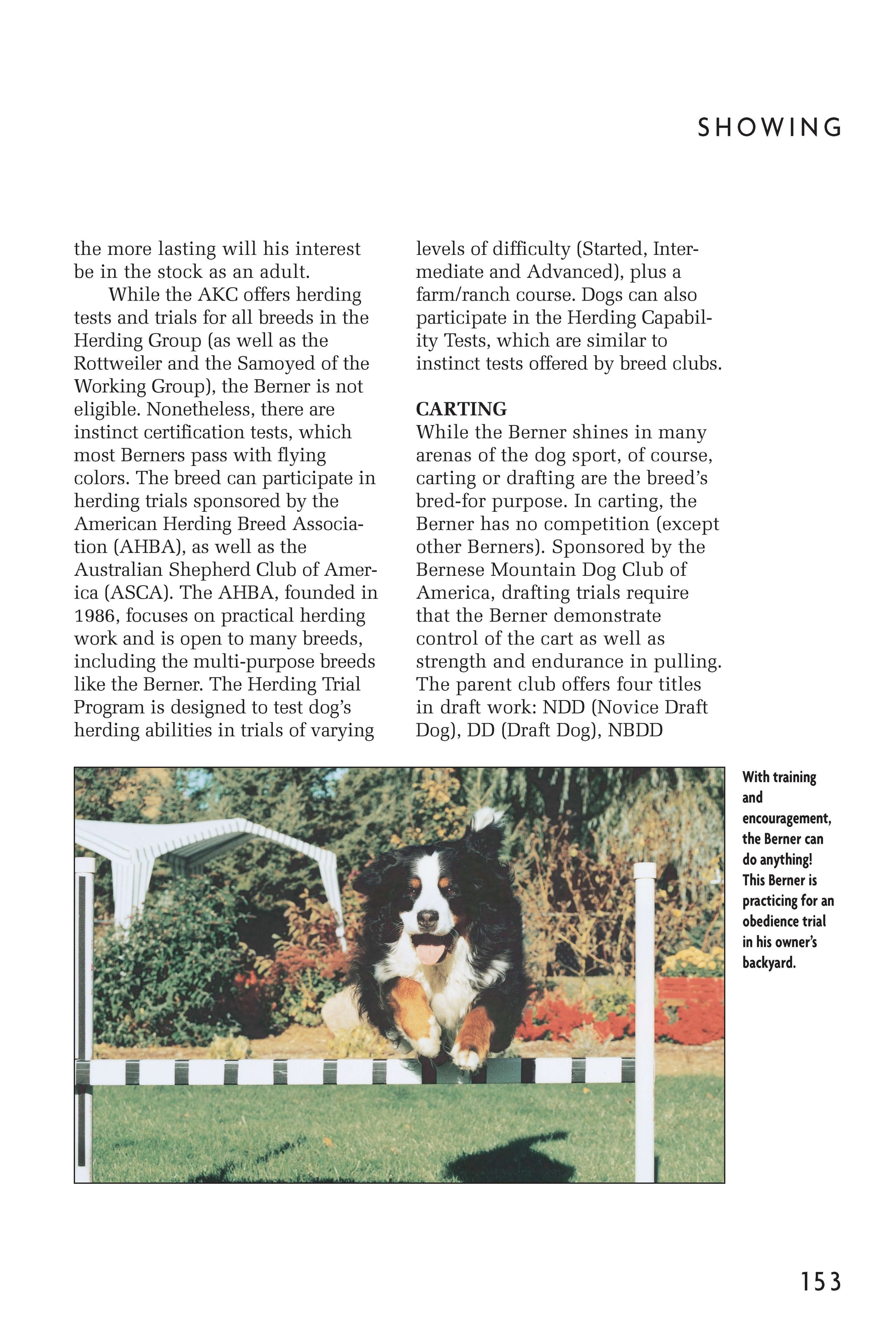 Bernese Mountain Dog (Comprehensive Owner's Guide)