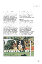 Bernese Mountain Dog (Comprehensive Owner's Guide)