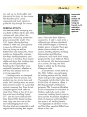 Collie (Comprehensive Owner's Guide)