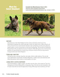 Load image into Gallery viewer, The New Complete Dog Book
