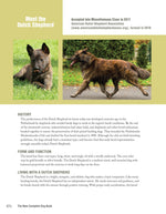 The New Complete Dog Book