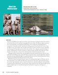 Load image into Gallery viewer, The New Complete Dog Book
