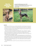 Load image into Gallery viewer, The New Complete Dog Book
